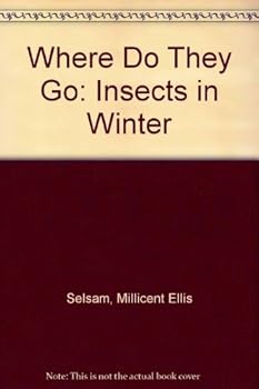 Where Do They Go? Insects in Winter