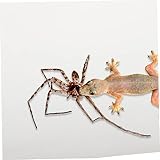 Toddmomy Maty Dla Gadów Podłoże Do Terrarium Dla Gekonów Węży Jaszczurek i Żółwi Miękka i Trwała Wyściółka Dno Klatki Akcesoria Dla Zwierząt