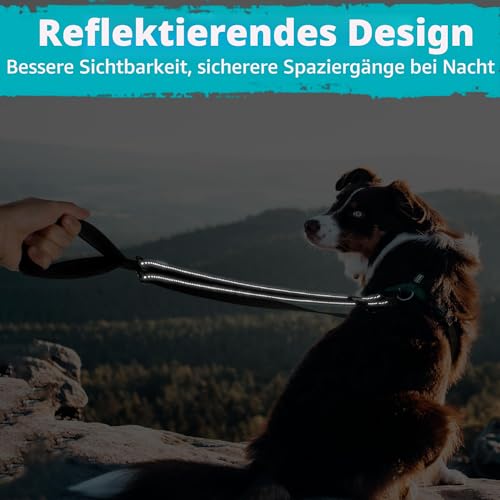PetBonus No Pull Anti-Zieh Hundeleine, Doppelleine für Anti-Zug Geschirr