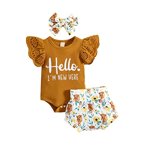 Image of LIOMENGZI Infant Baby Girl Summer Clothes Outfit Flower Print Fly Sleeve Solid Romper Tops Cute Baby Clothes Girl Outfit Set