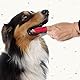 BEAPHAR - Finger-Zahnbürste Für Hunde Und Katzen - Entfernt Zahnbelag - Gründliche Reinigung - Weiche Borsten - Einfache Handhabung