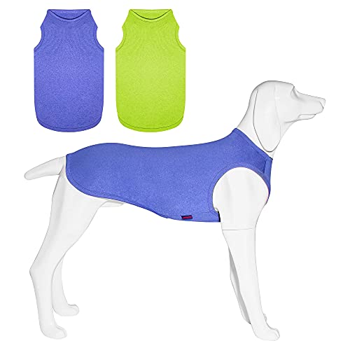 Kickred ̃Vc ĕ  ʋC ėpxXg  _炩 ΍ p^Ngbv O Ă΍ 畆ی  ی X|[cEFA JWA Lk pW}  ^ ^ 2