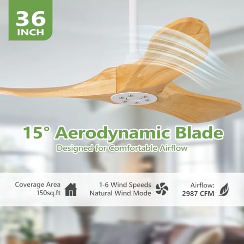 Benicefun 36 Inch Solid Wood Ceiling Fans without Light,Small Modern 3 Blade Quiet Dc Ceiling Fan For Slanted Ceilings, Rustic Wood Ceiling Fan For Gazebo With Wall Switch and Remote Control - Image 3