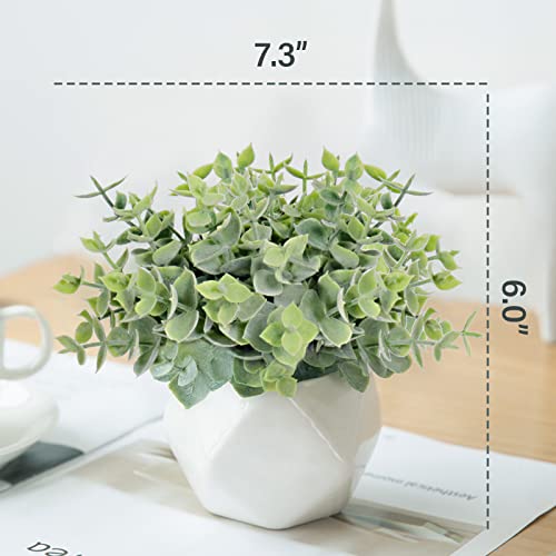 Tiita Artificial Faux Succulents In Pots，Plastic Faux Greenery Small Fake Plants For Home Office Desk Window Sill Bathroom Bedroom Outdoor Indoor (Eucalyptus Leaf) #TOP1