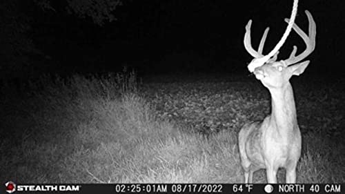 Stealth Cam Fusion X Wireless Trail Camera