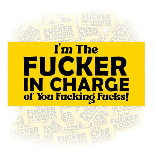 7.5 x3.5 Inch Im The Fucker in Charge of You Fucking Fucks Funny Humorous Dark Rude Joke Quote Sticker Decal Hard hat Sticker Magnet Bumper Sticker