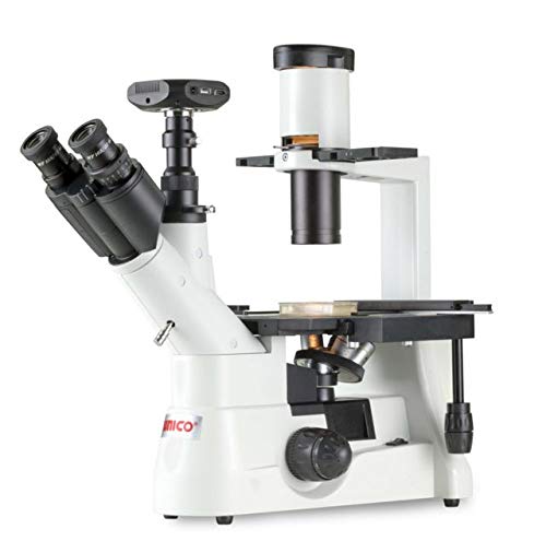 RPI L24061-500.0 Lennox L Broth, 1g Capsules, 500g