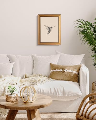 Image of VIYYIEA Vintage Gold Framed Wall Art for Living Room, Birds Canvas Prints Home Decor, Sketch Painting Picture, Bedroom Wall Decor Gifts for Friends or Family -【Hummingbird】-(16L x 12W)