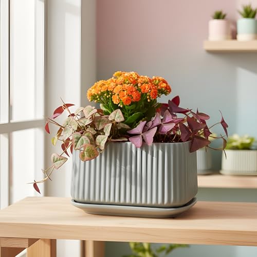 Image of Xtore Ceramic Ribbed Planter with Tray | Matte Finish | for Home & Office Decor - (Pack of 1, Pastel Green, Planter ONLY)