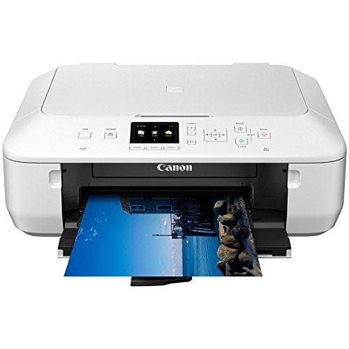Canon Pixma MG5650 Multifunktionsgerät (Drucker, Kopierer, Scanner, USB, WLAN, Pixma Cloud-Link) weiß