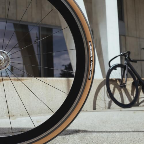 Michelin Dynamic Classic Tire