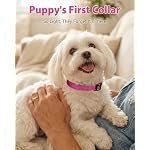 Joytale Dog Collars for Small Dogs, Feather-Light Double-Sided Reflective Nylon Collar for Night Safety, Adjustable Quick-Release for Growing Puppies, Hotpink, S (5/8" Width) - Image 2