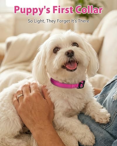 Joytale Dog Collars for Small Dogs, Feather-Light Double-Sided Reflective Nylon Collar for Night Safety, Adjustable Quick-Release for Growing Puppies, Hotpink, S (5/8" Width) - Image 3