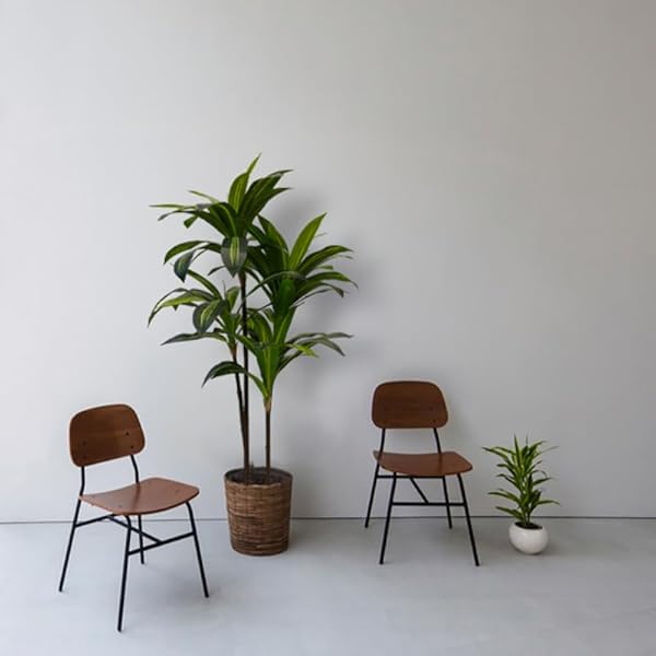 Aveyas 4ft Artificial Dracaena Tree for Home Decor, 4 Feet Real Touch Large Faux Plant Fake Silk Floor Trees with Pot for Indoor Outdoor House Living Room Office (4 ft Tall) by Aveyas - Image 3