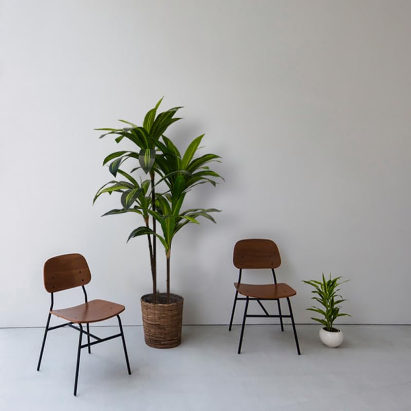 Image of Aveyas 4ft Artificial Dracaena Tree for Home Decor, 4 Feet Real Touch Large Faux Plant Fake Silk Floor Trees with Pot for Indoor Outdoor House Living Room Office (4 ft Tall)