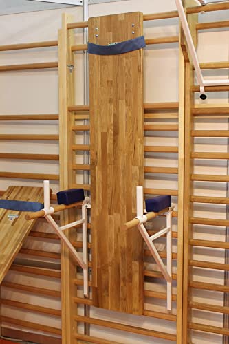 ARTIMEX Panca addominali per spalliera per ginnastica e fitness - usata in casa o in centri fitness - in quercia, codice 251-E
