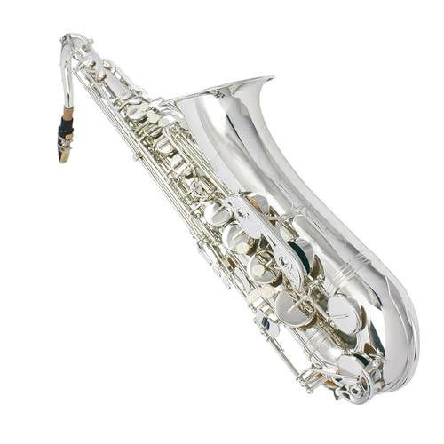 tFbViTbNX Btbgei[TbNXVo[vdlǊyP[XX^hN[jONXANZT[t(Silver saxophone)