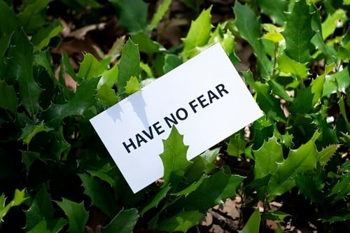 Freedom from Fear (Part 2 of Fear: Life's Zapper) (Don't Mess with the Mommas)
