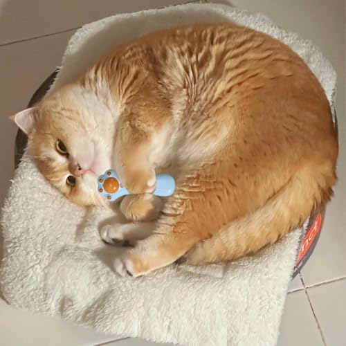 Varinha de provocação de brinquedos para gatos, escova de cabelo de gato | Brinquedo teaser de bastã