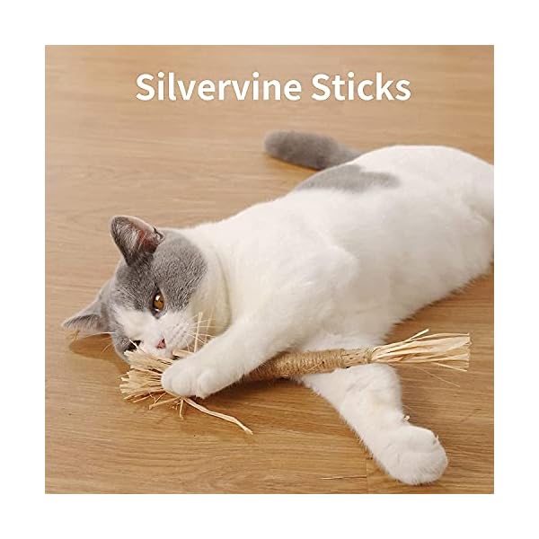 Dorakitten Katzenminzen Sticks, Katzenminze Spielzeug Matatabi Katzen Kauhölzer Silvervine Sticks für Katzen Zahnpflege & gegen Mundgeruch Natürlich Sicher Katzensticks Kausticks Set – Bild 4