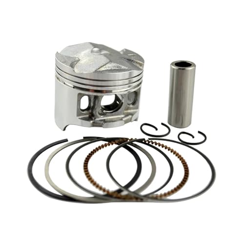 �I�[�g�o�C STD ? +100 �{�A�T�C�Y 48.5 �~�����[�g���s�X�g�������O C-BR250 14 17 MC14 MC17 KT7 250(1 Set 48.5mm)