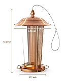 Sahara Sailor B08D3FQTF3 lato 2