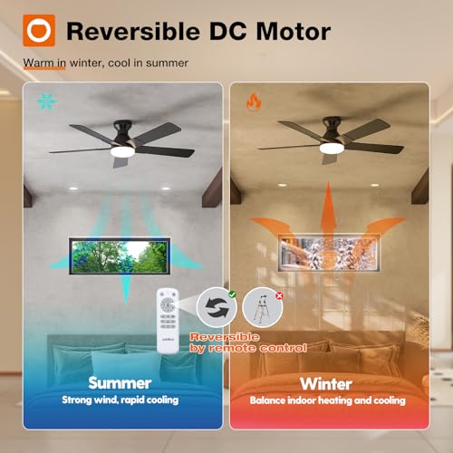 addlon Ceiling Fans with Lights, 52 inch Low Profile Ceiling fan with Light and Remote Control, Flush Mount, Reversible, 3CCT, Dimmable, Noiseless, Black Ceiling Fan for Bedroom, Indoor/Outdoor Use thumbnail 5