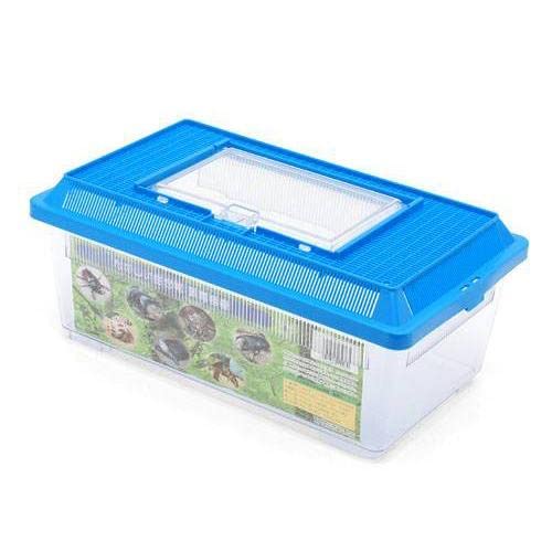 e tbg iRUT×QPT×PTTj vP[X   _J UKj ނȂ llT_