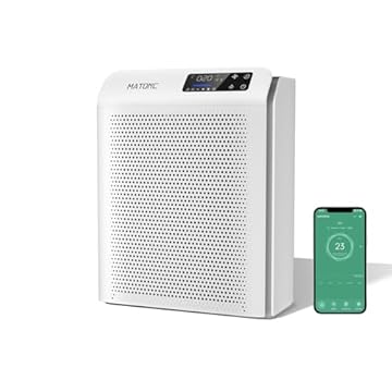 best air purifier for 800 square feet