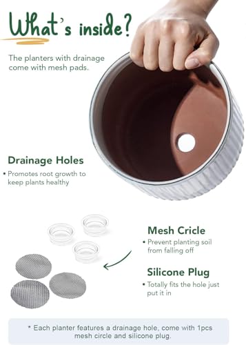 Image of LE TAUCI Ceramic Pots for Plants, 8+6.7+5.5 Inch Plant Pots Indoor, Flower Pot with Drainage Holes, Medium Cylinder Planters for Indoor House Plants, Set of 3, Reactive Glaze White
