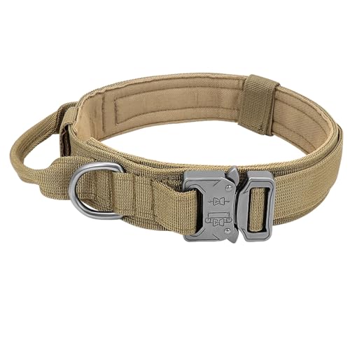 Longe pour chien et collier militaire vert taille M pour randonnée - 6
