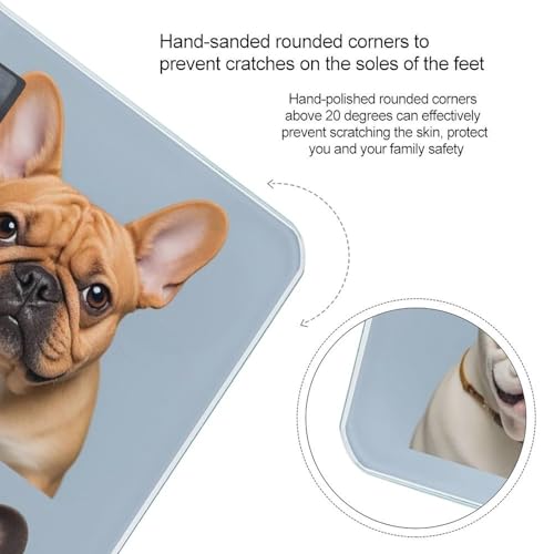 Báscula digital para baño estilo Bulldog francés miniatura 4