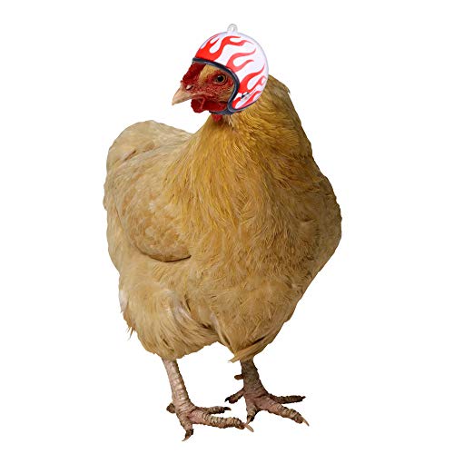 Chapéus para animais de estimação, capacete de galinha protetor engraçado chapéu de galinha acessóri