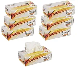 Mist Ultra Soft White 2 Ply Facial Tissue 100 Pulls each box (Pack of 6 Box)