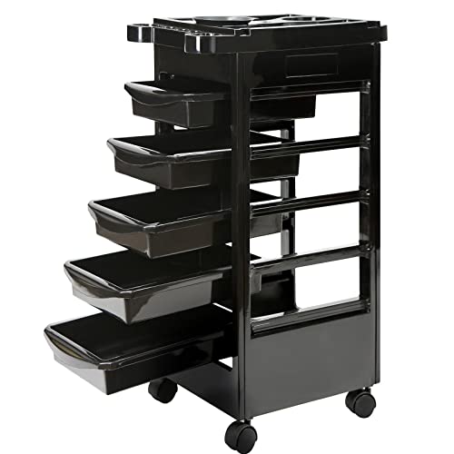 Salon Trolley Storage - Hairdresser Trolley - Spa cart - Hair Dressing Rolling Storage Cart with Tier - Multiple Utility Storage