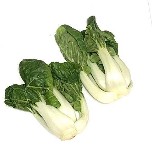 One pound Bok Choy Sum