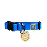 OllyDog Tilden 14-Inch by 21-Inch Collar, Medium, Light Blue