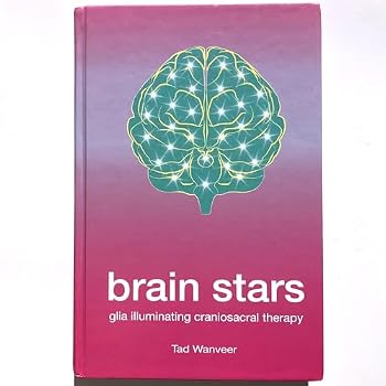 Hardcover Brain Stars Book