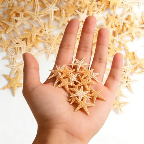 binstree Small Starfish Star for Crafts 0.4 to 1.2 Natural Mini Star Fish for Beach Theme Decor Home DIY Crafts Decor (120 Pcs)