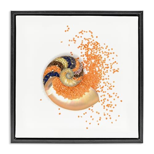 Nautical Orange Nautilus Spiral, 17 x 17 Inch Canvas in Floater Frame