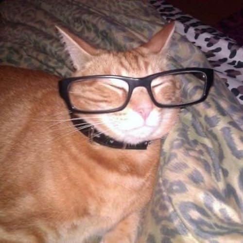 mary moffett (demo) - tv girl