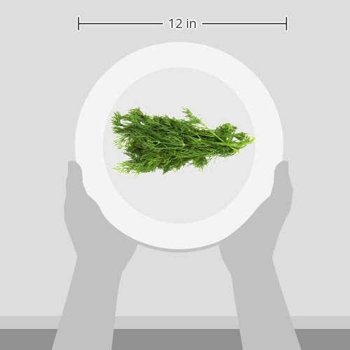 Organic Dill, 0.75 oz Clamshell