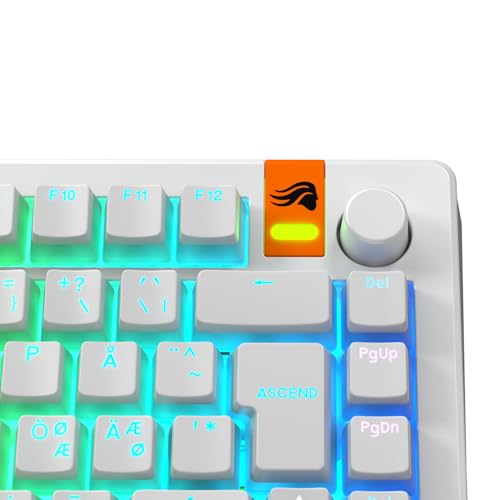 Capuchons Pudding blancs PBT doubleshot pour clavier mécanique custom ISO ANSI 75 et 60 pourcent