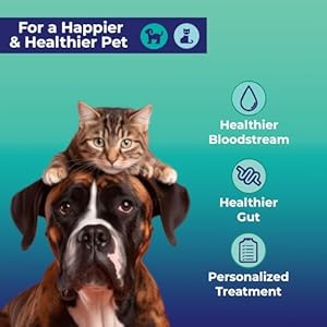 Leaky Gut at-Home Test Kit for Dogs and Cats – Pet Essential for Digestive Health Solution