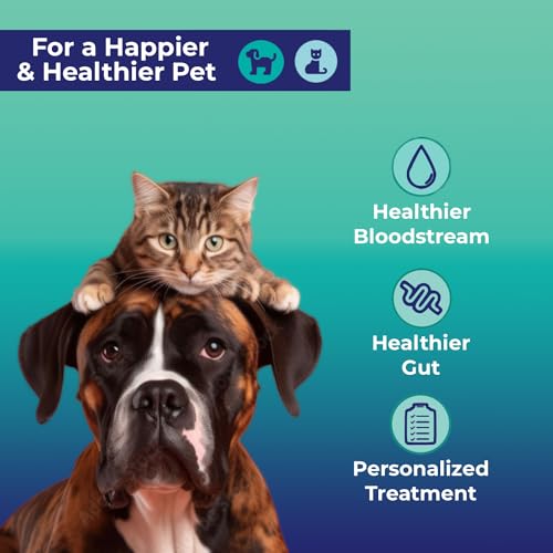 Leaky Gut at-Home Test Kit for Dogs and Cats – Pet Essential for Digestive Health Solution Leaky Gut at-Home Test Kit for Dogs and Cats – Pet Essential for Digestive Health Solution