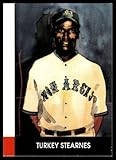 Baseball 1990 Eclipse Stars of the Negro Leagues Second Edition #15 Turkey Stearnes
