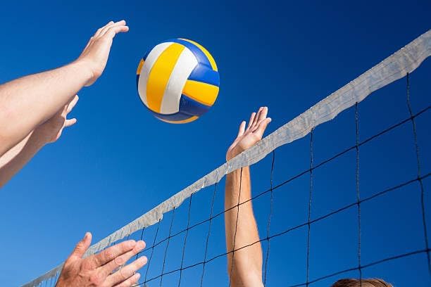 Image of Vixen Volleyball Net vx500
