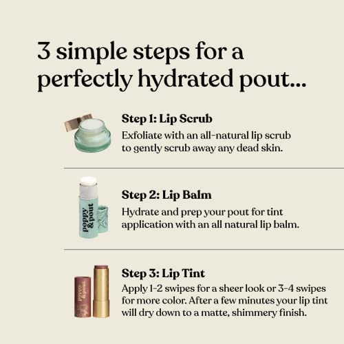 Poppy & Pout 100% Natural Lip Tints, Sustainable Cardboard Tubes, Hand-Filled, Beeswax, Vitamin E, Coconut Oil, Cruelty Free (Premium Gift Set) #TOP2