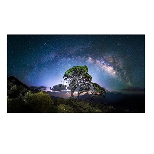 Toile ciel étoilé et arbres colorés pour s'évader au quotidien depuis sa chambre à coucher