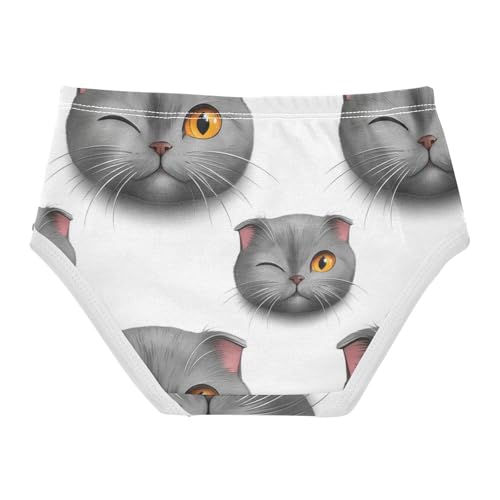 Joisal Aesthetic Toddlers Underwear Floral 2t Cotton Cute Panties Girl Cute Grey Scottish Fold Cat Briefs Underpants2
